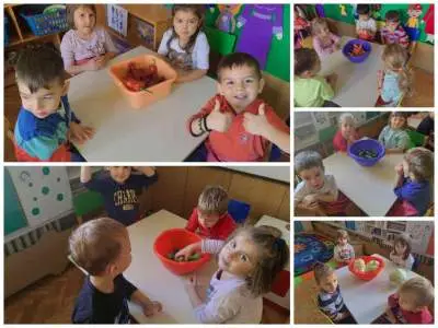 zimnica 03 11 2022 01