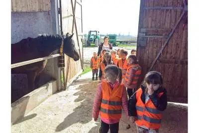 farma 22 03 2023 1
