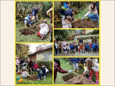 Zasadeni 8 ovoshni sadnici 8