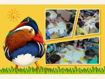 Со што се хранат и каде живеат домашните животни 27 04 2026